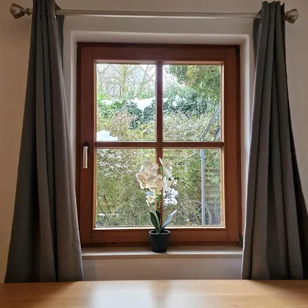 Lejlighed Schoene 2-zimmer Mitten In